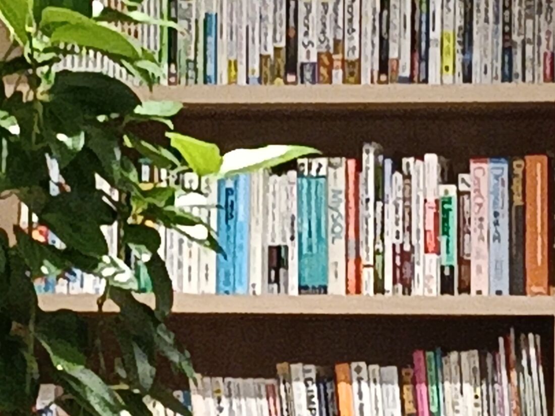 10倍ズームで撮影