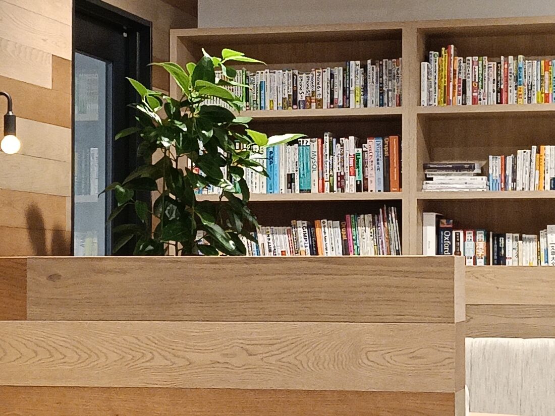 5倍ズームで撮影