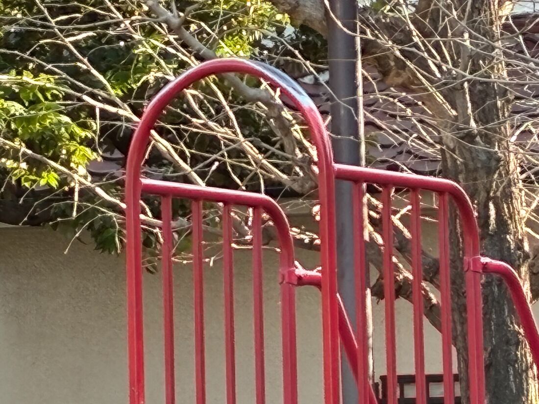 デジタルズームは最大10倍まで。さすがに荒れている