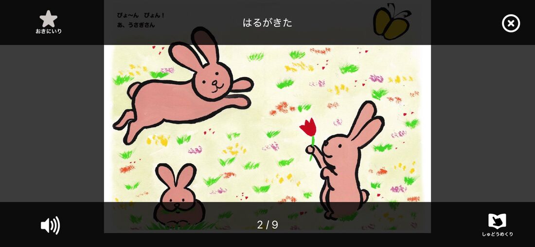 PIBO　再生画面