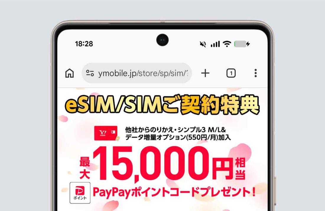 ワイモバ SIM契約キャンペーン5