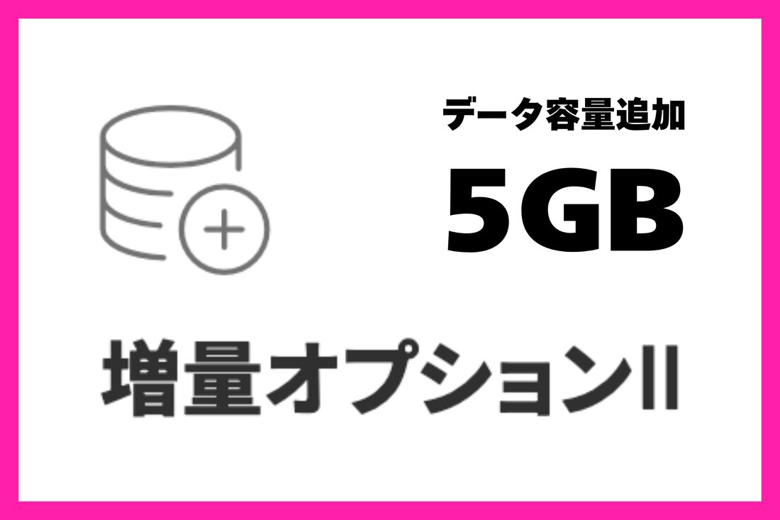 増量オプションⅡ