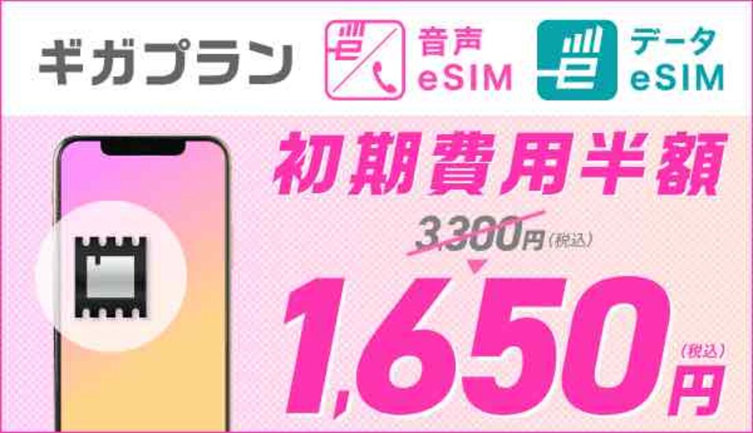 eSIM初期費用半額キャンペーン