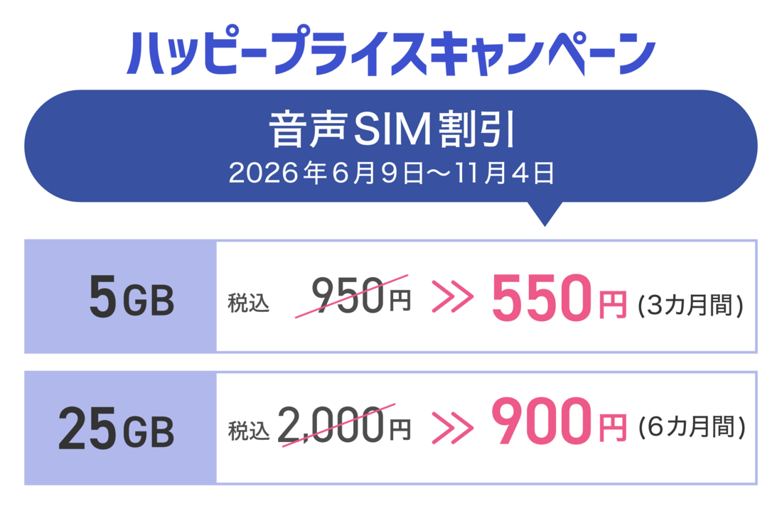 音声SIM割引（最大6カ月間、月額料金が割引）