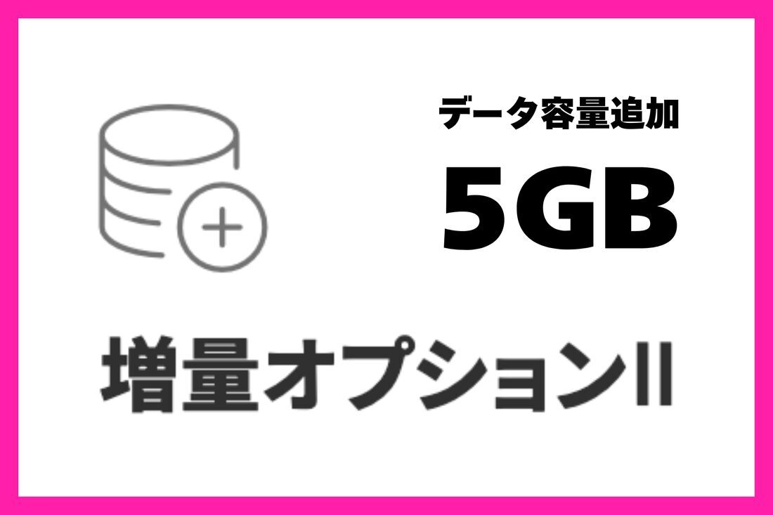 増量オプション