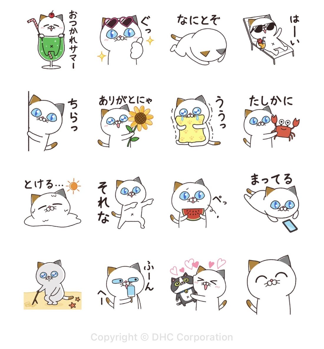 夏がきた！タマ川ヨシ子（猫）第37弾