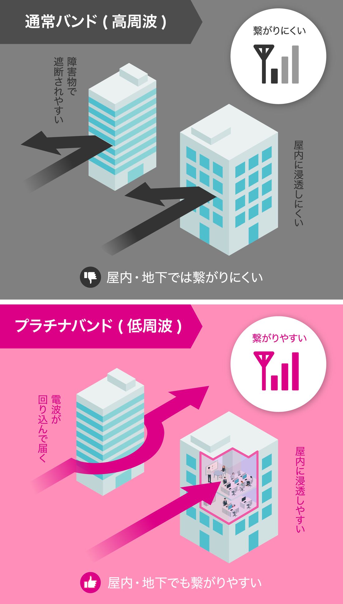 プラチナバンド