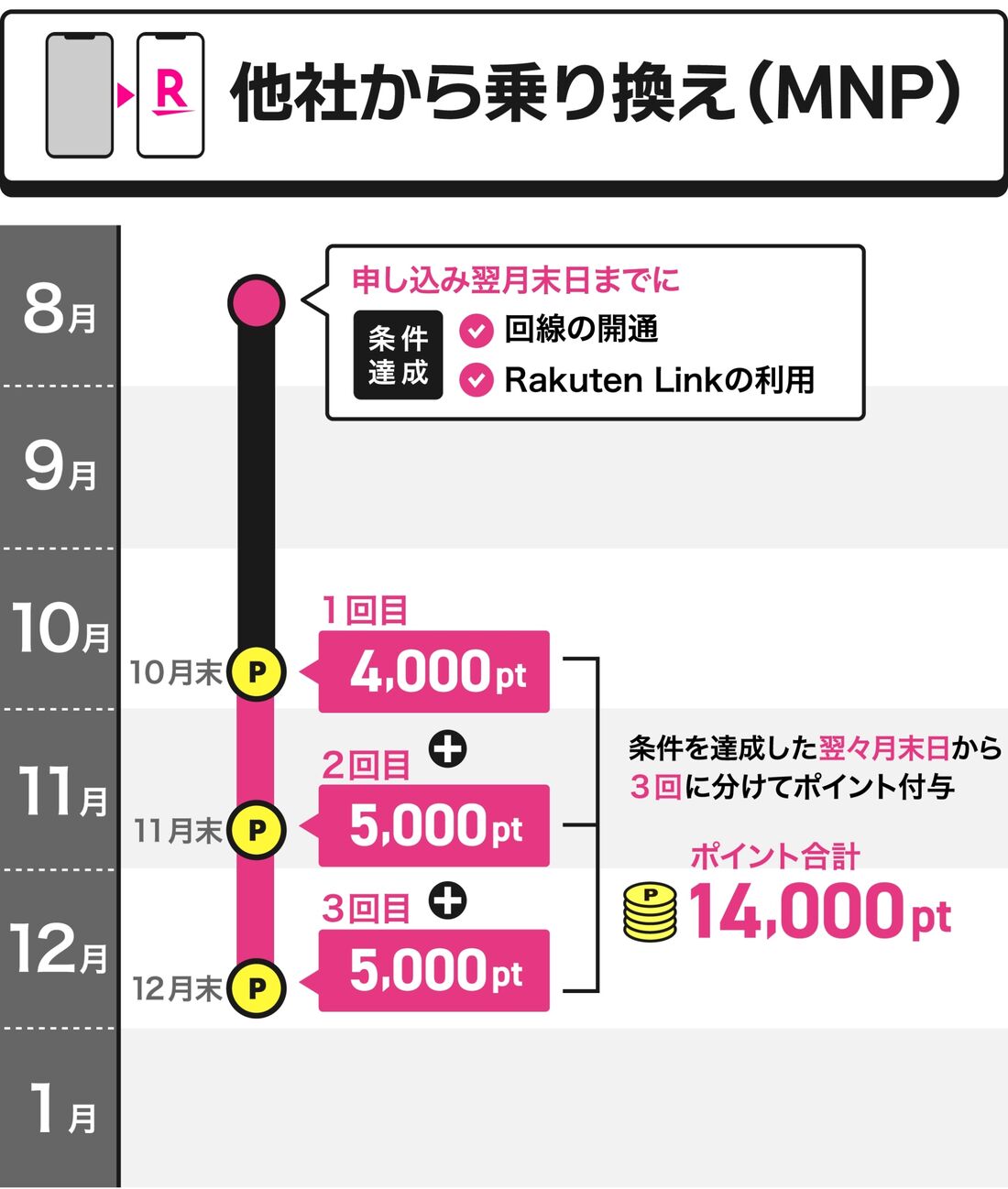 ポイント付与日