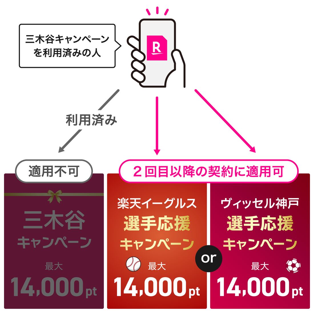 三木谷キャンペーン適用済みの人