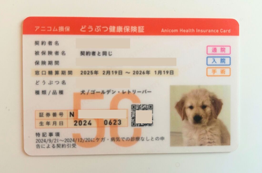 アニコム　どうぶつ健康保険証