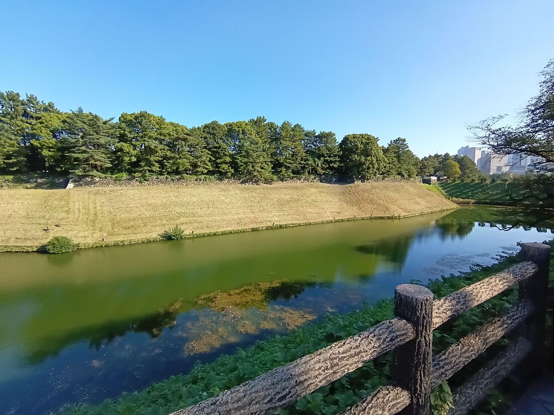 motoj37 写真