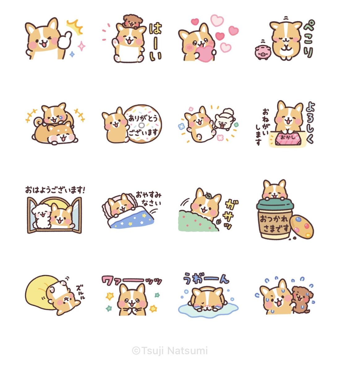 まるまるコーギー × LINEポケットマネー