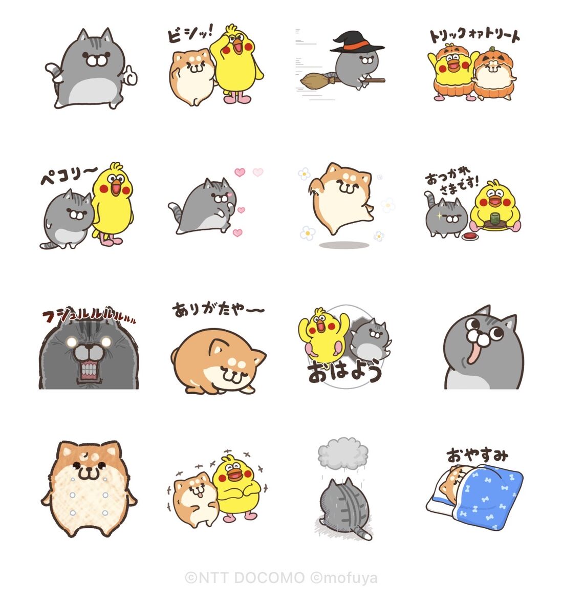 動く！ボンレス犬とボンレス猫×ポインコ