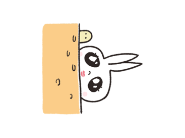 うさぎたんと毎日一緒♪