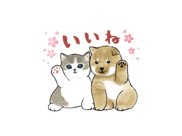 しば×にゃん & LINEスコア