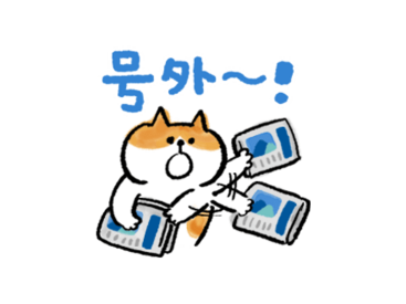 ごろごろにゃんすけ×Yahoo!ニュース
