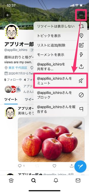 【Twitter】おすすめ通知を非表示にする（ミュート）