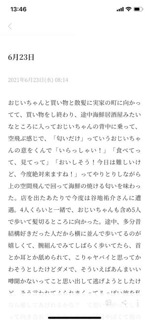 長文の日記
