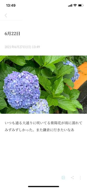 写真入りの日記