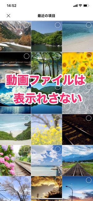 【LINEアルバム】動画は保存できない