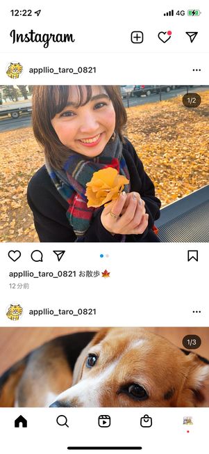 タイムライン