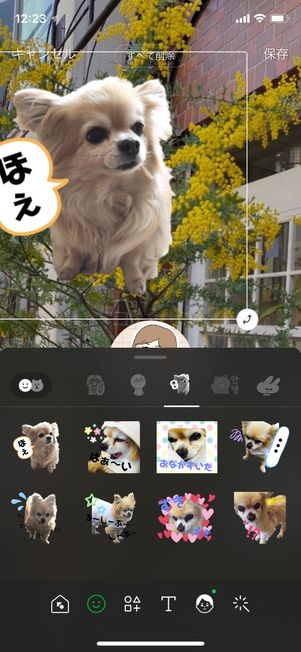 プロフィール背景 デコレーション