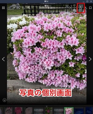 LINE　写真の個別画面　共有