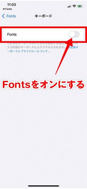 Fontsのセットアップ画面
