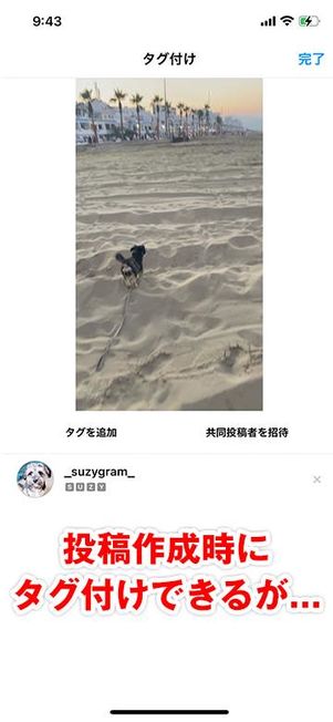 投稿へのタグ付け