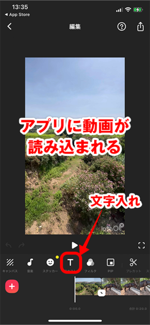 r video characters insertion 04