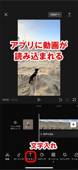 「T」ボタンをタップ