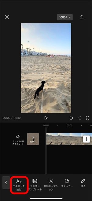 テキストを追加をタップ