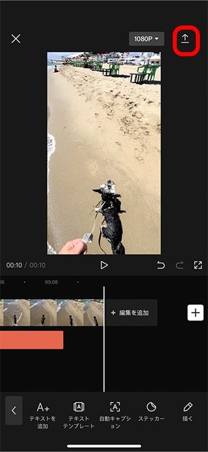 エクスポートボタン