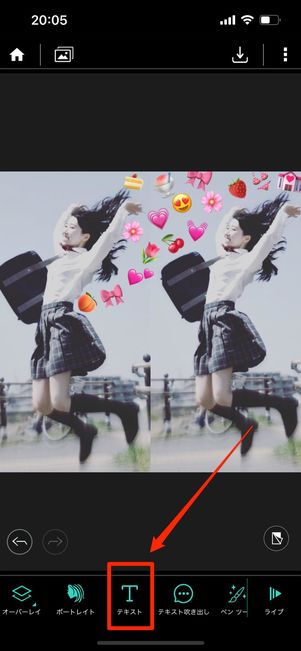PhotoDirector