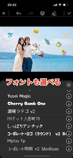 PhotoDirector