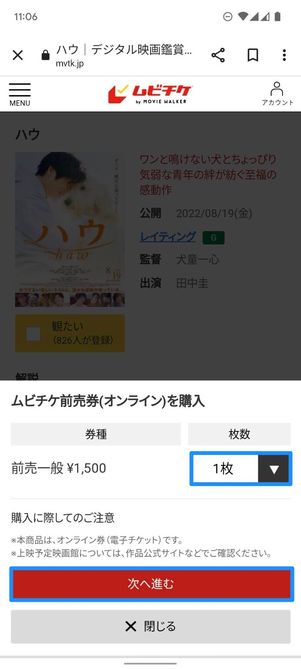 ムビチケ