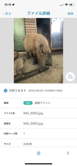 写真が登録された