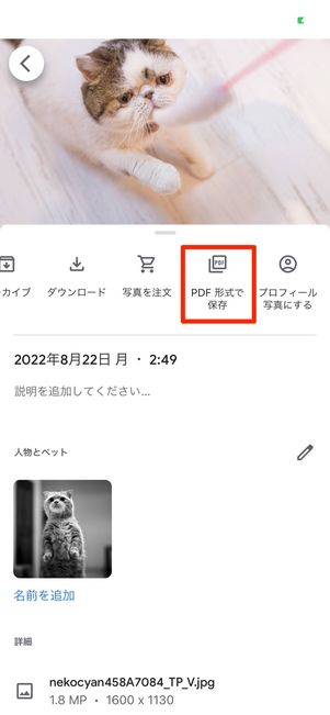 PDF形式で保存