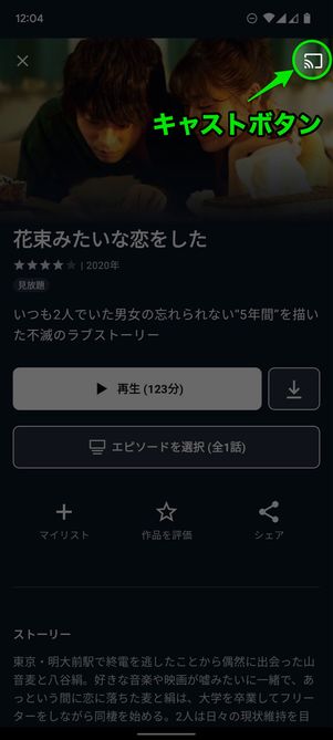 キャストボタン