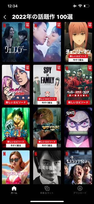 Netflix 100選