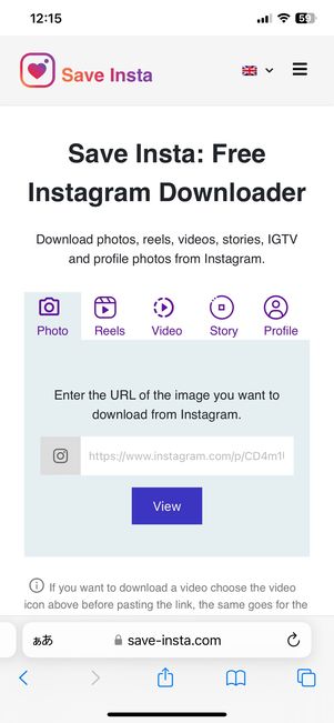 外部ウェブサービス「Save Insta」の画面