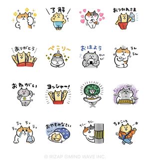 chocoZAP×ごろごろにゃんすけ
