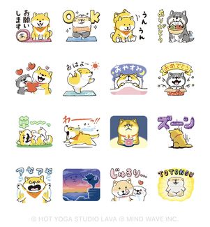 しばんばん×ホットヨガスタジオLAVA