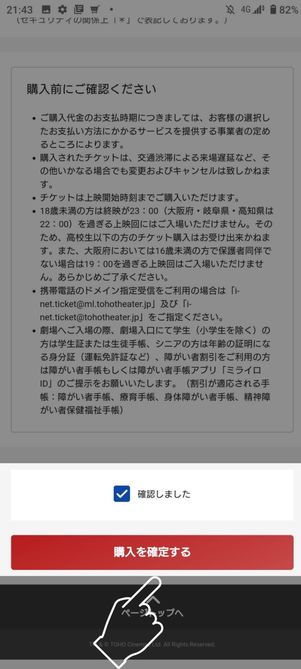 「確認しました」にチェックを入れて購入を確定する