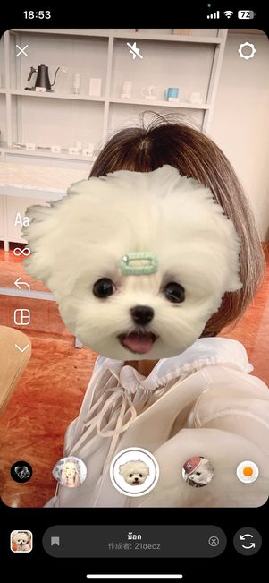 顔の部分をかわいいイヌに変えられる