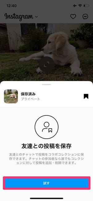 コラボコレクション