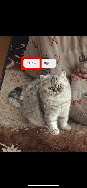 切り抜きを貼り付け
