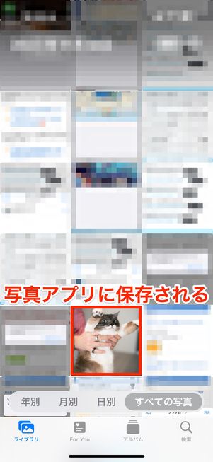 「写真に保存」した画像は写真アプリに保存される