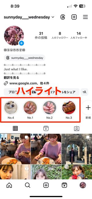 プロフィール画面に丸枠で表示されるハイライト