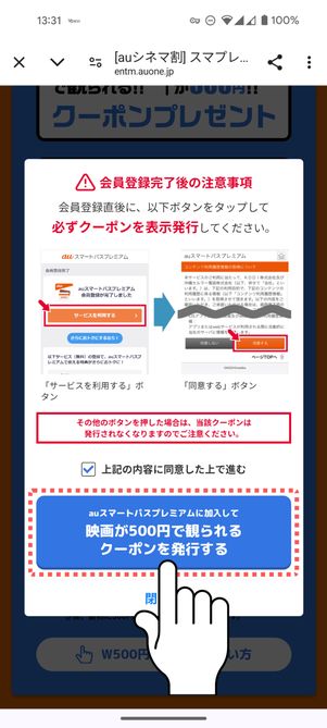 チェックを入れて「クーポンを発行する」をタップ